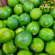 고군명가 썬키스트 라임 50과 5.2kg내외 대과, 1개