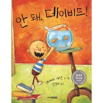 안 돼 데이빗, 지경사