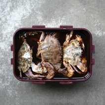 더꽃게 간장 돌게장 2kg, 1set