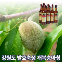 국산 토종 강원도 홍천 돌복숭아 효소 개복숭아 액기스 엑기스 진액 숙성액 발효 원액 즙 복숭아청 숙성 물에 타먹는 쥬스 액상 750ml, 개복숭아 액기스 750ml 3개