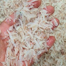 인천 김장용 생새우 동백하 11월 매일조업 급속동결 1kg / 2kg / 3kg, 인천 김장 생새우 2kg (1kg 2팩)