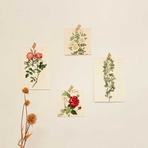 로얄 빈티지 플라워 엽서 감성 꽃 예쁜 디자인 일러스트 그림 인테리어 벽꾸미기