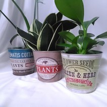 빈티지 양철화분3종 중 랜덤발송 미국풍 양철통, 양철화분(랜덤발송)