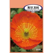 씨앗과세상만물 개양귀비 씨앗 1 000립, 1팩