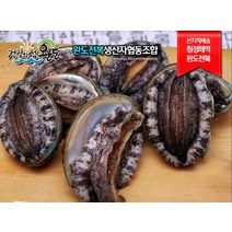 (당일발송 친환경포장)완도전복생산자협동조합 대전복 1kg(10~11미), 고급횟감용 1kg(13-14미)