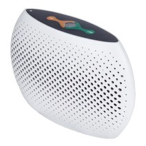 미니 제습기 원룸 10리터 소형 가정용 제습기 추천 지하 사무실 이동식 송징 창고 제습기 hoodakang 휴대용 충전식 무선 재생 가능 공기 건조기 습기 흡수 공기, d, au 플러그