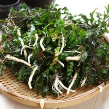 해풍맞고 자란 남해 노지 세척 냉이 1kg, 단품