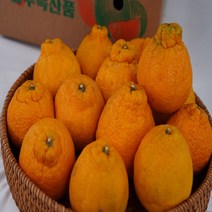 제주직송 서귀포 명품 새콤달콤한 한라봉 3kg 5kg 10kg, 한라봉 혼합과 3kg, 1개