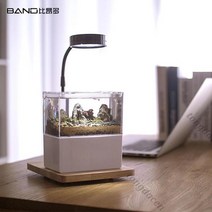 베타키우기 엔젤피쉬 나비파파 블랙고스트 하프문 키우기 오란다금붕어 구피 해수어항세트 해수 4929998849, E 옵션이미지 참조