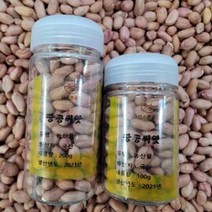 [한스푼푸드] 땅콩씨앗 100g (120립내외) 씨눈이 살아있는 땅콩종자, 땅콩씨앗 100g(120립 내외)
