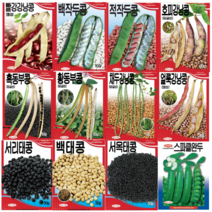 콩씨앗 완두콩 채두 흰 적 검정 강낭콩 작두콩 서리태 호랑이 넝쿨 콩 씨앗 종자, 호피강낭콩