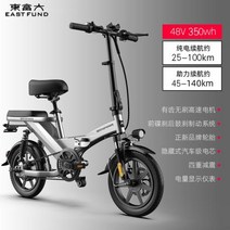 전기자전거 전동 접이식 독일 14 인치 미니 배터리 자동차 소형 스쿠터 리튬, Gray+16ah 55-65Km