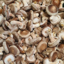 알뜰농장 국내산 무농약 생표고 버섯 실속형 중상품 1kg 4kg (생산지 장흥/담양), 1개, 무농약 생표고 4kg