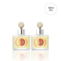 오르브 차량용방향제 디퓨저 120ml, 머큐리부케, 2개