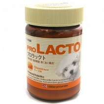 [RAΞ] 프로락토 장기능 치즈맛 20g 강아지 영양제 건강용품 반려동물 애견 반려 애완 관리 ▷_8θ270eA, 이상품GOOD, θ본상품w, θ본상품w
