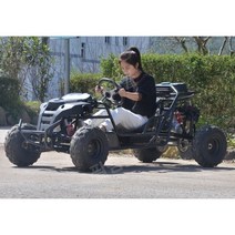 고카트 전기 4륜 전동 2인용 카트라이더 레이싱 좌석, free, 1인 전기 가솔린