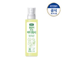 디펜드 물없이 쓰는 바디워시 200ml (간병용 캠핑용 워터리스), 2개