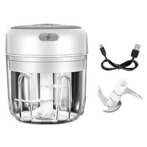 파운터 반죽기 전기 미니 마늘 masher 고기 masher 마늘 믹서 usb 식품 야채 프로세서 블렌더 칠리 초퍼 masher machine foy home, 실버 250ml