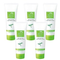 꽃남 녹차 폼 클렌징 150ml 5개 꽃남 환한피부