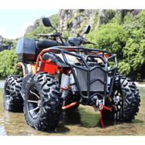 사륜 오토바이 사발이 농업용 ATV 레저용 전기차, L