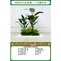 조화나무 가드닝 나무화분나뭇잎 대형화분 공연장 거실 박람회 모델하우스 매장, 봄이 태어나고 여름이 길다