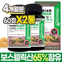 인도산 보스웰리아 보스웰릭산 60정x2통 약4개월분 대용량 고함량 보스웰리아 관절 연골 튼튼 보스벨리아 보수엘리아 고함량 원물 보스웰니아 보셀리아 보스렐리아, 프리미엄 보스웰리아 60정X2통