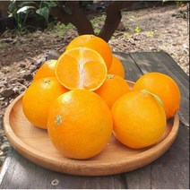 서귀포 고당도 제주 황금향 일반용 10kg, 황금향 소과10g