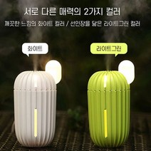 LED 무드등 미니 선인장 가습기 USB 미니가습기미니가습기 사무실가습기 휴대용가습기 물병가습기 미, 쿠팡 라이트그린