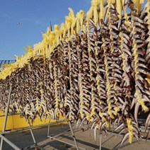 [정가네수산] 속초 산지직송 생물 양미리 1kg (30미 내외) 반건조 양미리 1두름(20미), 반건조 양미리 1두름