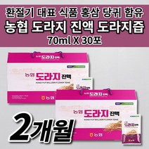 충북 인삼 농협 국산 국내산 도라지 진액 즙 엑기스 액기스 원액 식약처 인증 환절기 기관지 건강 에 좋은 음식 차 식품 선물 6년근 홍삼 대추 당귀 영지버섯 함유 도라지즙 30포, 2개