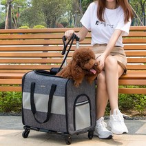 강아지 고양이 유모차 개모차 캐리어 애견유모차 펫 이동장, 라이트