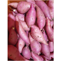 삶의여유 베로니카 자색 꿀고구마 캠핑간식, 3kg