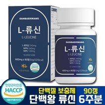 [ 2022 신제품 ] 식약처 HACCP 햇썹 인증 단백왕 L 류신 이소 로이신 정 타블렛 WPH WPC BCAA 함유 식물성 동물성 단백질 근손실 방지 예방 뉴신 유신 1000, 90정 x 1박스 (6주분)