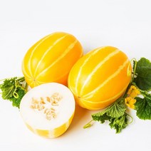 신선코리아 성주참외 산지직송 못난이 가정용 고급 선물용 황금참외 1kg 2kg 5kg 10kg, 선물용 고급품, 3kg