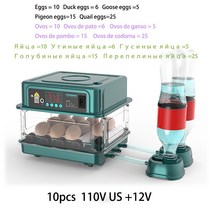 계란 병아리 조류 부화기 Automatic 10/12 Eggs Incubator Farm Hatchery Machine Chicken Goose Bird Quai, 03 10pcs 110V US Plug