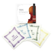 바이올린레슨비용 저렴한 가격비교