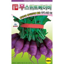 A-스위트베이비무 1000립 채소 종자, 1개