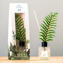 아로마컴퍼니 리프 디퓨저 50ml, 메리그린