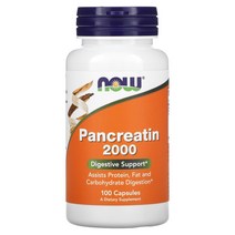 나우푸드 Now Foods 판크레아틴 200mg 캡슐 100정, 100 개