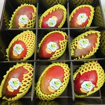 추석과일선물세트 추석명절선물 애플망고 9과