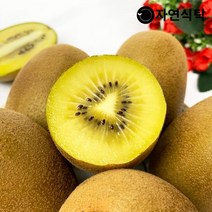 국내산 제주 골드키위 10과/20과 사이즈별, 골드키위 20과 특과(개당115g내외)
