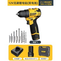 강력한 도구 더블 리튬 전기 드릴, 브러시리스 모터  38N.m 12V 2000mAh 듀얼