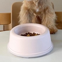 강아지밥그릇 대형견 밥그릇 애견식탁 휴대용 사료보관 소형견 물그릇 파스텔 애견식기, 민트