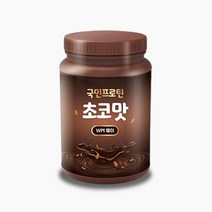 국민프로틴 분리유청단백질 WPI 단백질보충제 유당불내증프로틴 헬스보충제 아이솔레이트 웨이프로틴 식사대용 초코맛, 초코맛 WPI 1KG, 1개