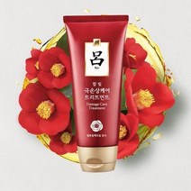 머리 손상모 복구 상한 관리 영양제 트리트먼트 극 손상 케어 머릿결 두피진정 미용실에센스, 상세페이지 참조