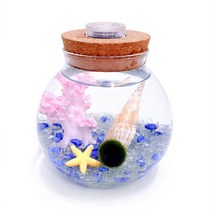 미니가든 [불켜지는병]원형라이트(소) 마리모 키우기 세트 어항, 파랑믹스