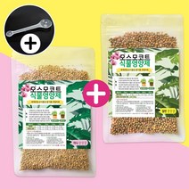세경팜 오스모코트 100g 1+1 계량스푼 증정 식물영양제 완효성 알비료, 오스모코트(일반)100g+(일반)100g