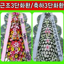 광주광역시 개업화환 축하 꽃 화환, 6축하3단(특급)