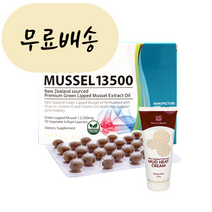 하이웰 초록입홍합 13500 200정 해외직구, 1개