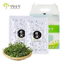셀러허브 식품 인진쑥즙 50포, 선택옵션, 기본